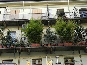 Antico 2* Turin